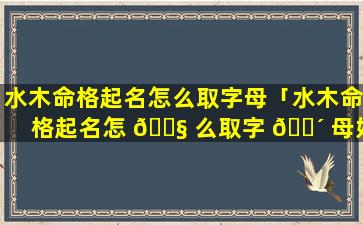 水木命格起名怎么取字母「水木命格起名怎 🐧 么取字 🌴 母好听」